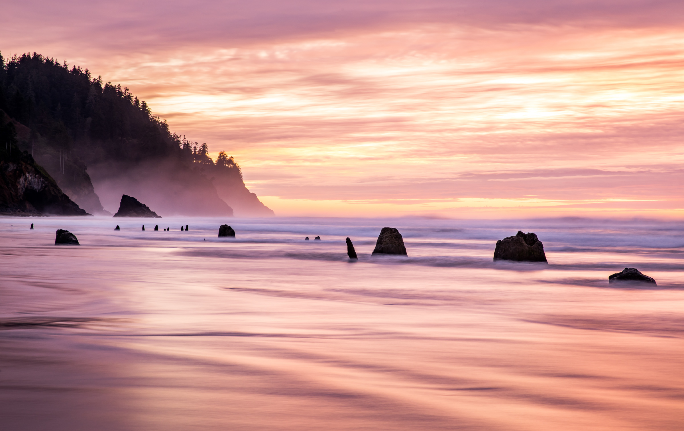 JASON SPETH LANDSCAPE 8